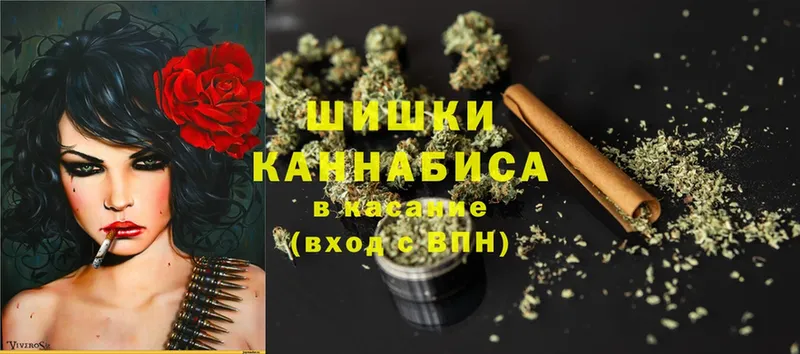 купить наркоту  Белая Калитва  Канабис OG Kush 